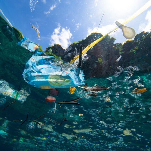 進擊的巨大汙染！解析海漂垃圾的全球分布──專訪鄭明修(另開新視窗)